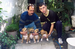 Family Vasic