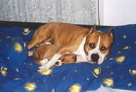 Ricardo & son