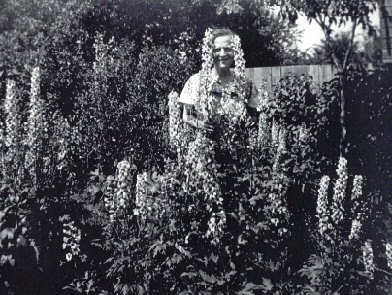 Arri�re grand-m�re de mes enfants et ses delphiniums - 1936