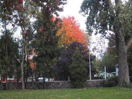 l'automne dans le sud de l'Ontario