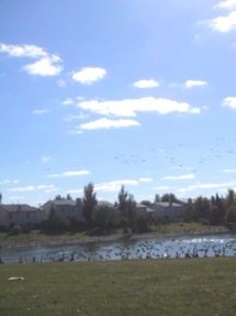 l'�t� s'en vient!