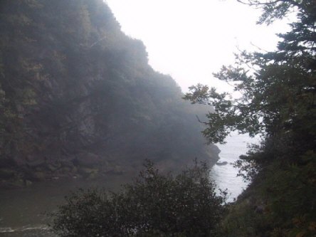 Fundy brouillard