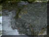 waterstone.jpg (833163 bytes)