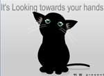 Cute Cat