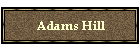 Adams Hill