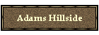 Adams Hillside