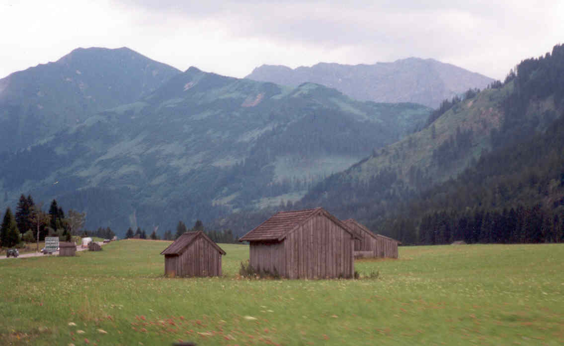 Austrian Fields