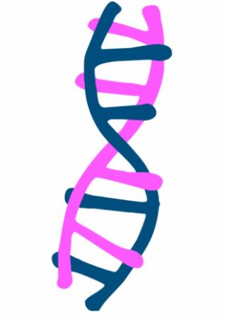 DNA Strand