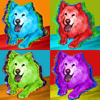 dogs
