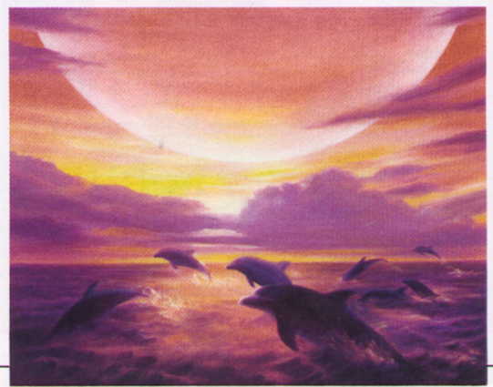 dolphins