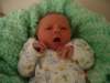 dsc00596_small.jpg