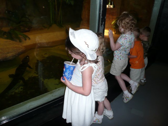 thekidslookingatthealligators.jpg