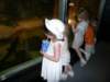 thekidslookingatthealligators_small.jpg