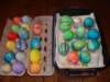 beautifuleggs_small.jpg