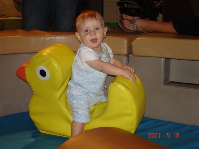 aydontheducky.jpg