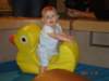 aydontheducky_small.jpg
