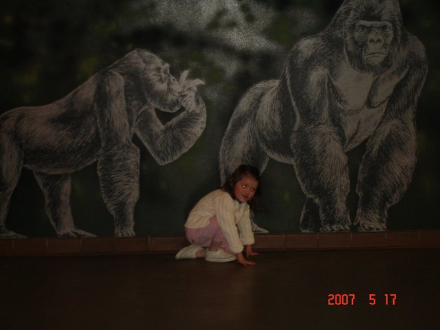 likethegorillas.jpg