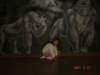 likethegorillas_small.jpg