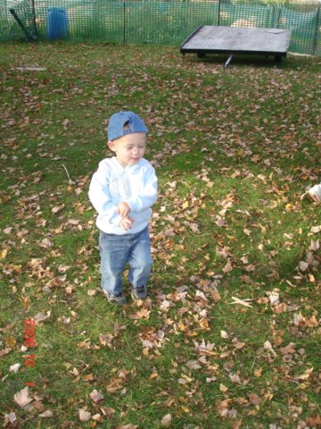 brettrunningintheleaves.jpg