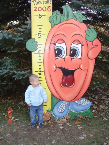 howtallthisfall.jpg