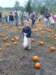 pumpkinpicking_small.jpg
