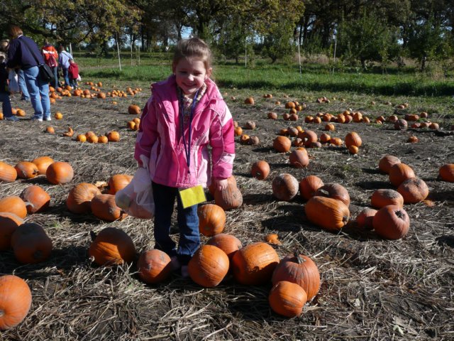skylerpickingpumpkins.jpg
