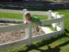 gettingstuckonthefence_small.jpg