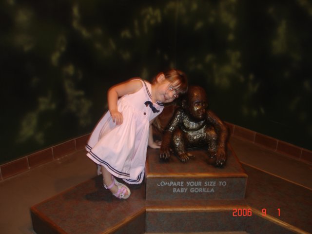 skyandthebabygorilla.jpg