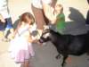 skyfeedingthegoat_small.jpg
