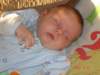 sleepingayderalligator_small.jpg