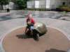 ridingtheturtle_small.jpg