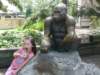 skyandthegorilla_small.jpg