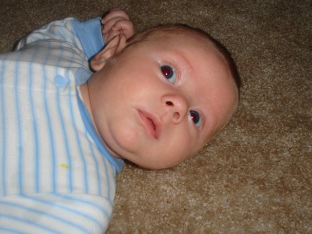 ayden.jpg