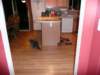 floor_small.jpg