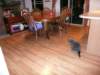 flooringwithcat_small.jpg