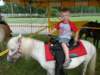 prettypony_small.jpg