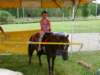 skylerandherpony_small.jpg