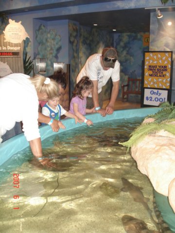 pettingstingraysandsharks.jpg