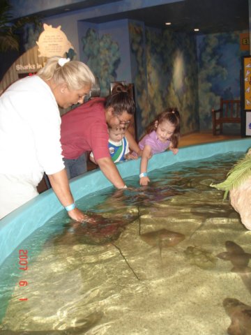 stingraysandsharks.jpg