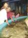 stingraysandsharks_small.jpg