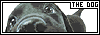 THE DOG Artist Collection Fan