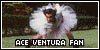 Ace Ventura Fan