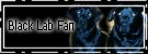 Labrador Retriever Fan