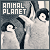 Animal Planet Fan