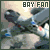 Michael Bay Fan