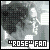 "Rose" Fan