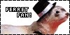 Ferret Fan