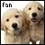 Golden Retriever Fan