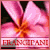 Plumeria (aka Frangipani) Fan