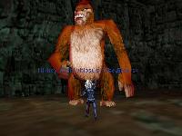 Brutes_Brutes!